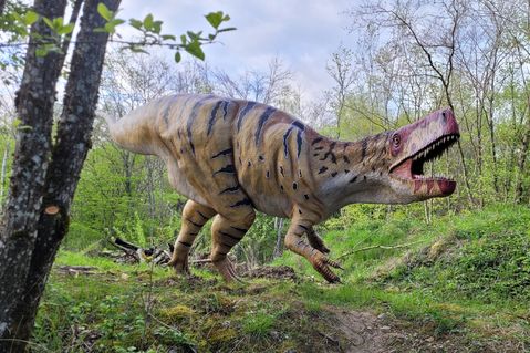 Rekonstruktion des Raubsauriers Wiehenvenator salerii im Dinosaurierpark Teufelsschlucht
